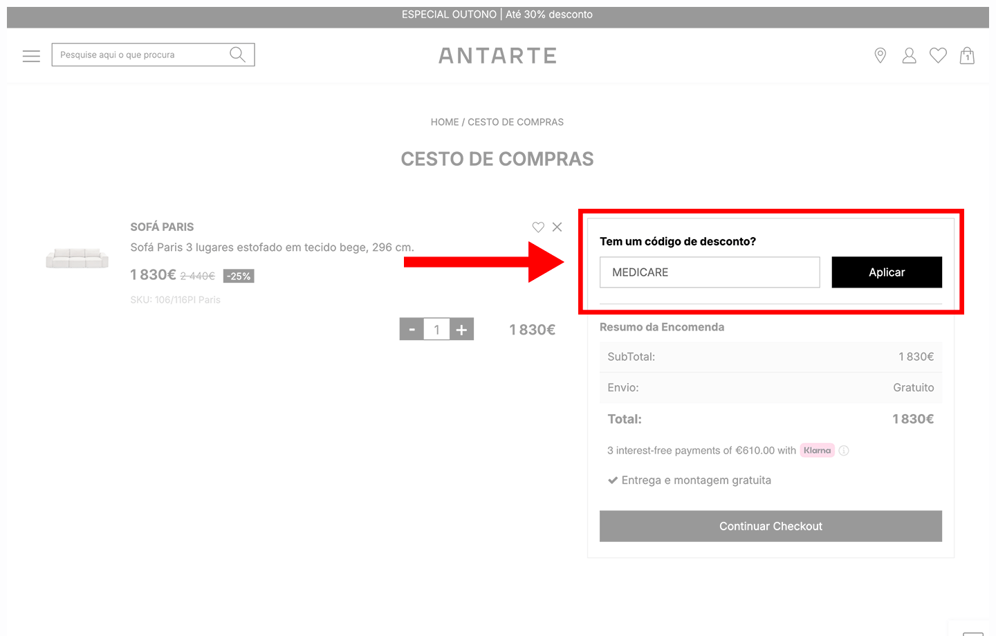 antarte, passo 3: insira o código