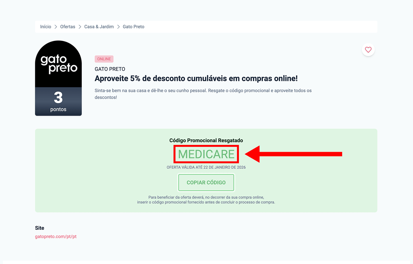 gato preto, passo 2: copiar código